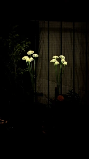 Solar Mushroom Lights