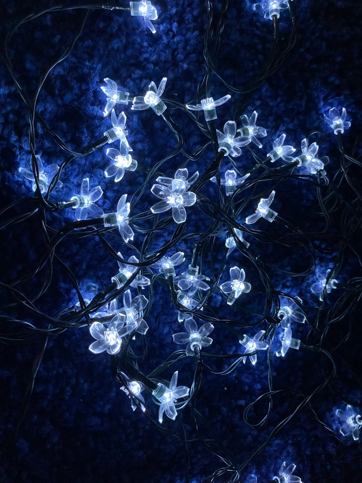 Solar Garden Flowers Lights
