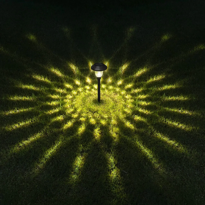 LED Solar Pathway Lights